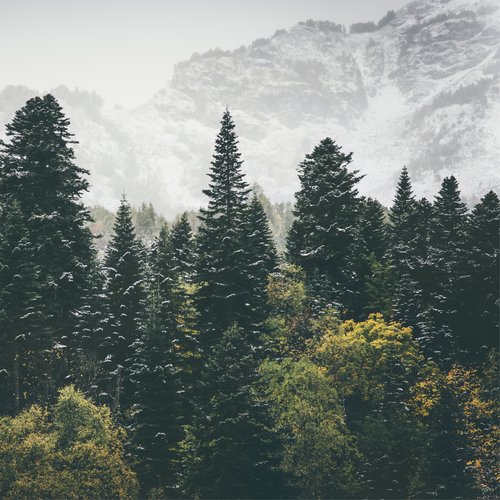 Sleep Well All Night (Ambient) cover art