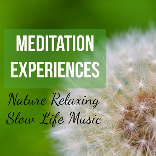 Meditation Experiences - Nature Relaxing Slow Life Music to Feel Better Consciousness Expansion and Vibrational Healing_poster_image