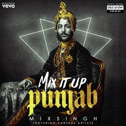 Mix It Up Punjab