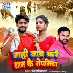 Nahi Jaab Kare Dhan Kai Ropaniya