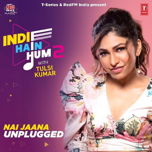 Nai Jaana Unplugged (From "Indie Hain Hum 2 With Tulsi Kumar")