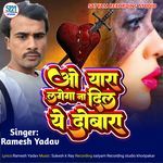 O Yara Lagega Na Dil Ye Dobara