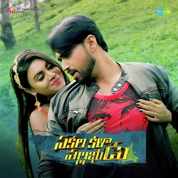 Sakalakalavallabhudu
