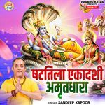 Shattila Ekadashi Amritdhara artwork