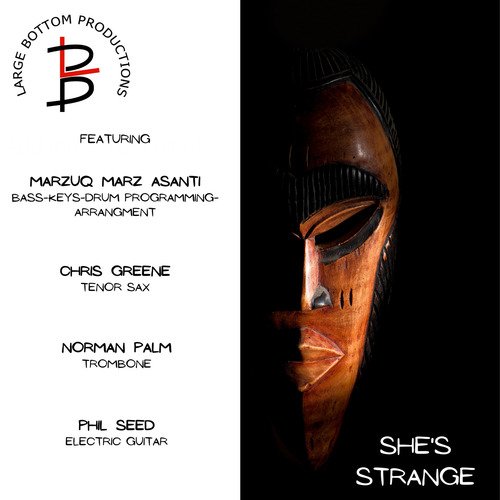 She's Strange cover art
