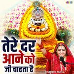 Tere Dar Aane Ko Ji Chahta Hai