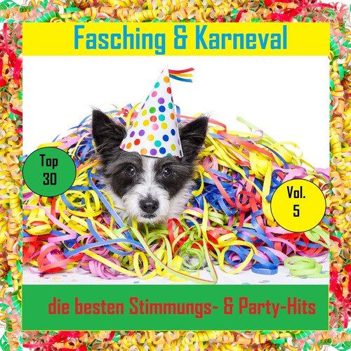 Top 30: Fasching & Karneval - Die besten Stimmungs- & Party-Hits, Vol. 5