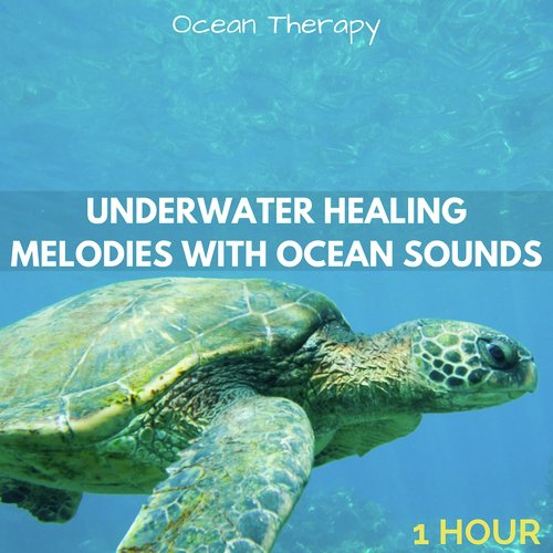 Underwater Healing Melodies with Ocean Sounds (1 Hour)_poster_image