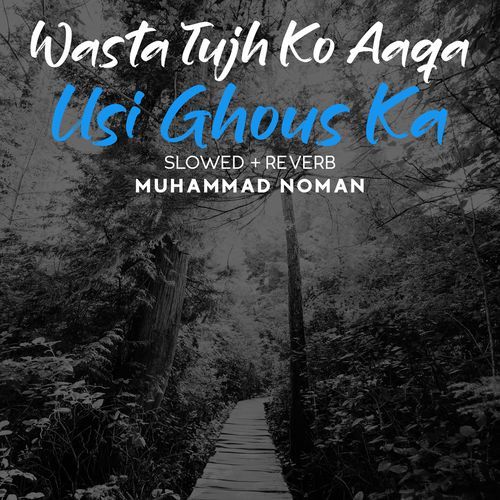 Wasta Tujh Ko Aaqa Usi Ghous Ka Lofi