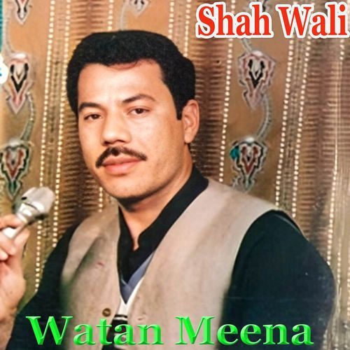 Watan Meena