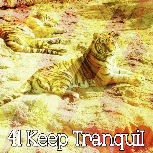 41 Keep Tranquil_poster_image