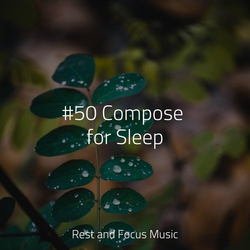 #50 Compose for Sleep