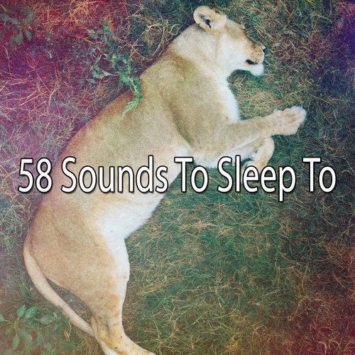 58 Sounds To Sleep To