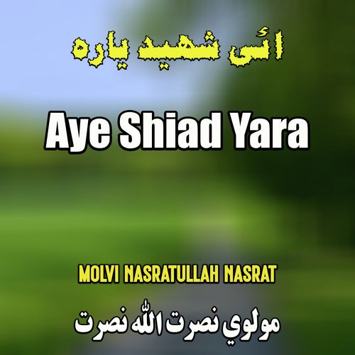 Aye Shiad Yara