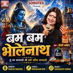 Bam Bam Bholenath
