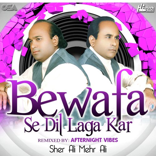 Bewafa Se Dil Laga Kar (Remix)_poster_image