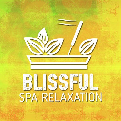 Blissful Spa Relaxation