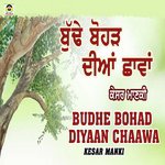 Budhe Bohad Diyaan Chaawa