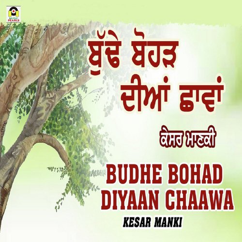 Budhe Bohad Diyaan Chaawa