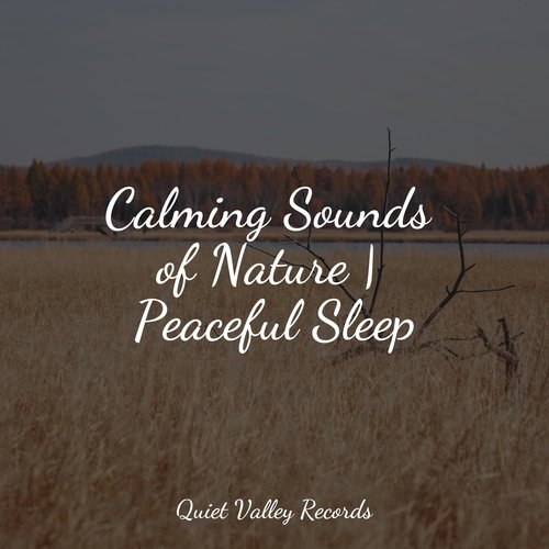 Calming Sounds of Nature | Peaceful Sleep