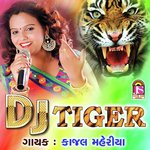 DJ Tiger