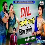 Dil Wali Maro Dil Legi Dj Song