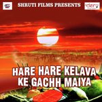 Hare Hare Kelava Ke Gachh Maiya