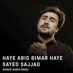 Haye Abid Bimar Haye Sayed Sajjad-ST4hBER-AVs