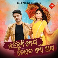 Jharibuni Megha Tote Mo Rana