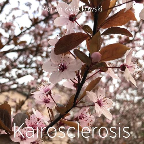 Kairosclerosis