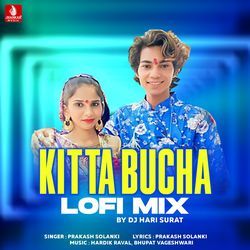 Kitta Bucha Lofi Mix
