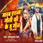 Marab Yetana Goli Ki Kehu Geen Na Pai