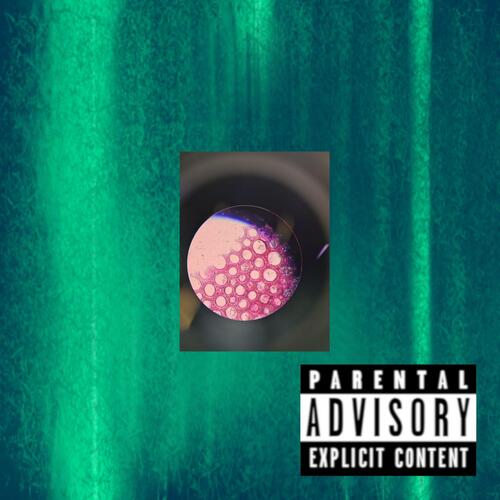 Stomp cover art