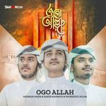 Ogo Allah