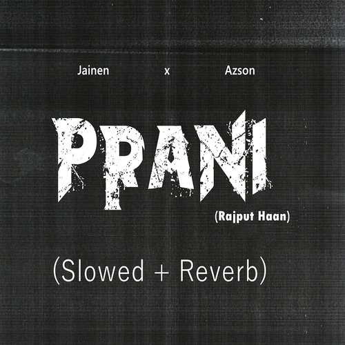 Prani (Rajput Haan) (Slowed + Reverb)