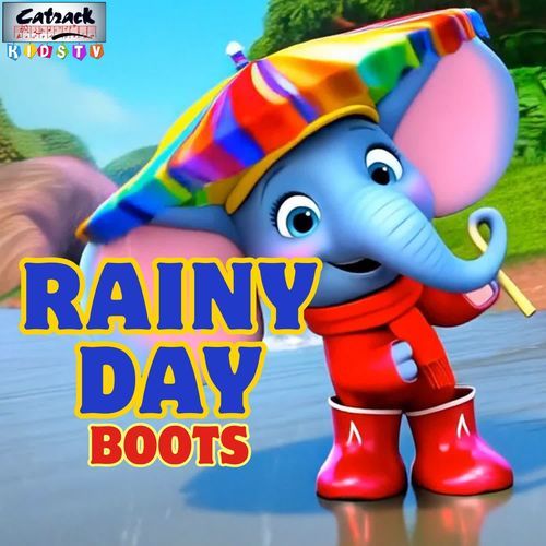 Rainy Day Boots