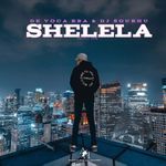 Shelela (feat. Artists Hub)