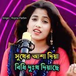 Shukher Asha Diya bidhi dukho Diyase