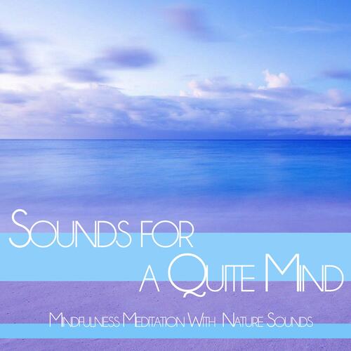 Sounds for a Quite Mind: Mindfulness Meditation With  Nature Sounds_poster_image