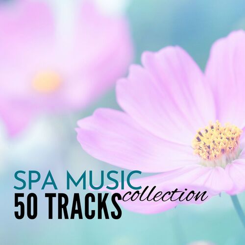 Spa Music Collection: 50 Tracks of Soothing Sounds of Nature for Wellness Centers and Hotel Lounge