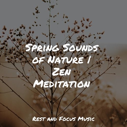 Spring Sounds of Nature | Zen Meditation