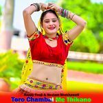 Tero Chambal Me Thikano