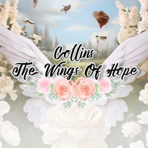 The Wings Of Hope