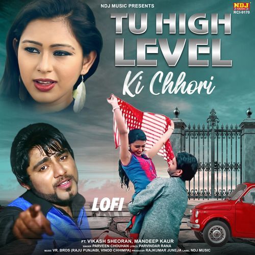 Tu High Level Ki Chhori (Lofi)