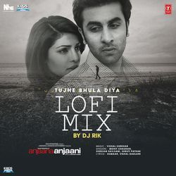 Tujhe Bhula Diya Lofi Mix(Remix By Dj Rik)-PCZbAjt6eWY