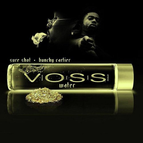 Voss Water_poster_image