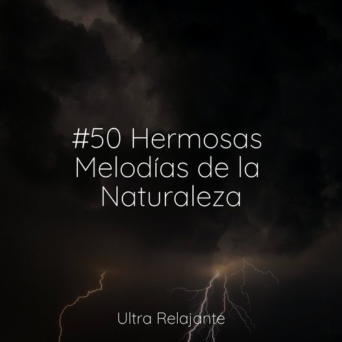 Naturaleza cover art