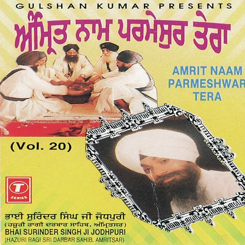 Amrit Naam Parmeshwar Tera (Vol. 20)