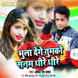 Bhula Denge Tumako Sanam Dhire Dhire (Bhojpuri Sad Song)-QR1SYjJ0XVc