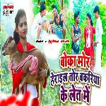 Boka Mor Heraei Gelau Bakariya Ke Let Me